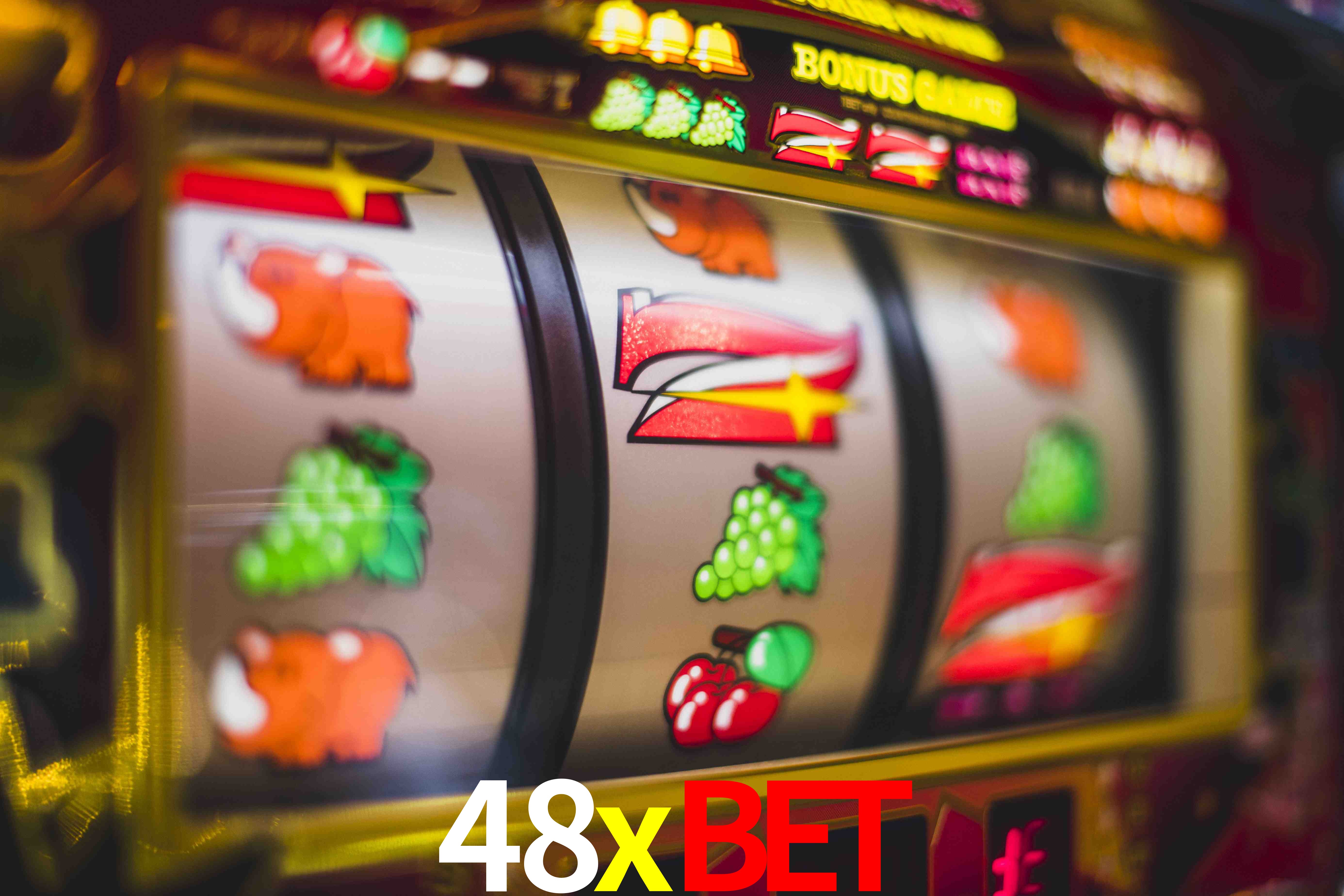 Experiência VIP 48xbet